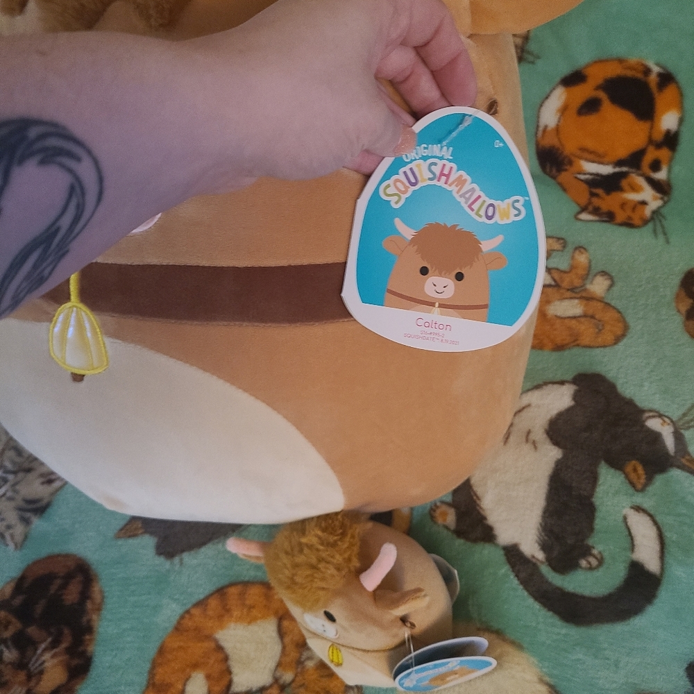 KellyToys Squishmallow - Calton